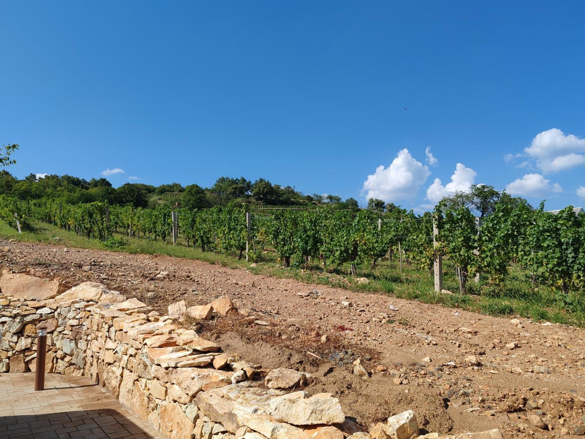 Villa Zeta Wine &